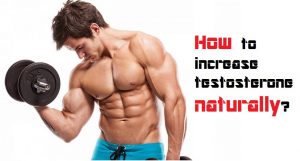 how to increase testosterone level